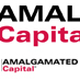 Amalgamated Financial logo
