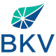 BKV Corporation logo