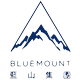 Bluemount Holdings Limited Class B logo