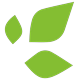 BranchOut Food Inc. logo