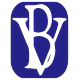 BV Financial, Inc. logo