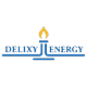 Delixy Holdings Limited logo