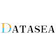 Datasea logo