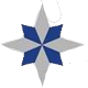 Financial Institutions logo