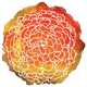 Marygold logo