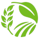 OGN Stock Chart logo