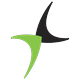 Penske Automotive logo