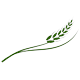 Sadot Group Inc. logo