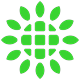 SHLS Stock Chart logo