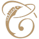 Top Wealth logo