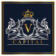 VCI Global logo